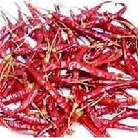 Manufacturers,Suppliers of Dried Red Chilli